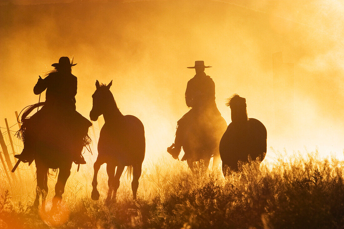 Cowboys reiten bei Sonnenuntergang, Oregon, USA