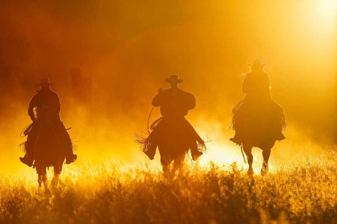 cowboys horseriding, Oregon, USA