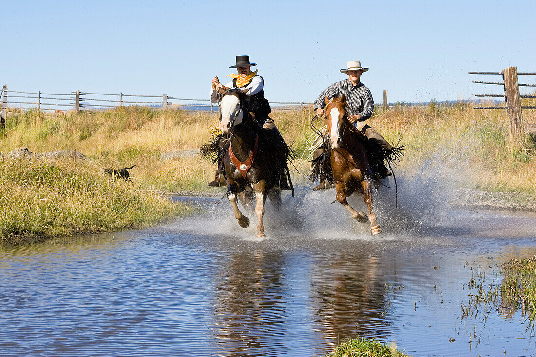 cowboys riding in water, Oregon, USA