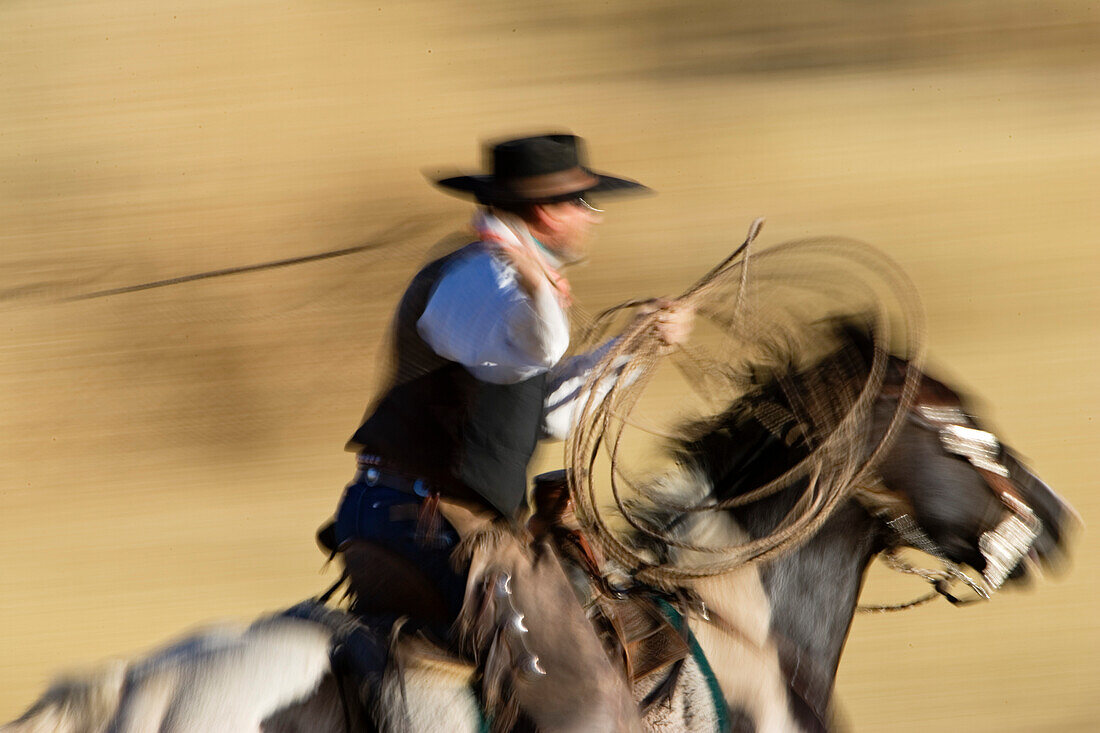 Cowboy riding and throwing lasso wildwest, Oregon USA