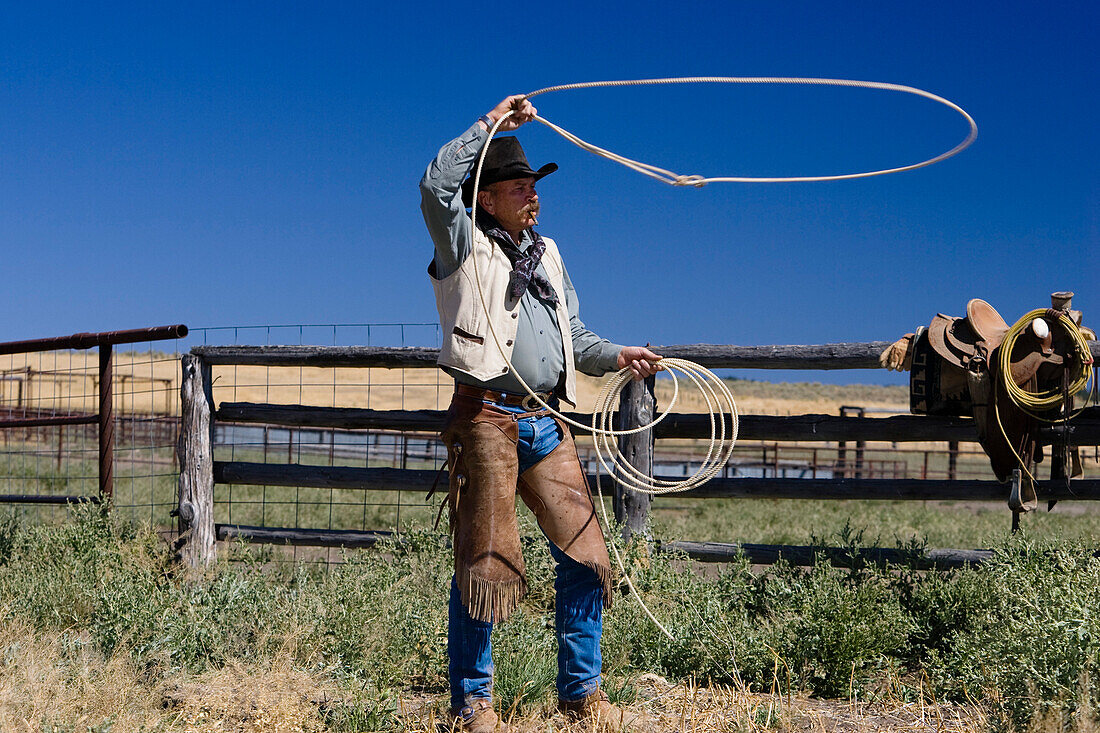 Cowboy throwing lasso wildwest, Oregon, … – License image