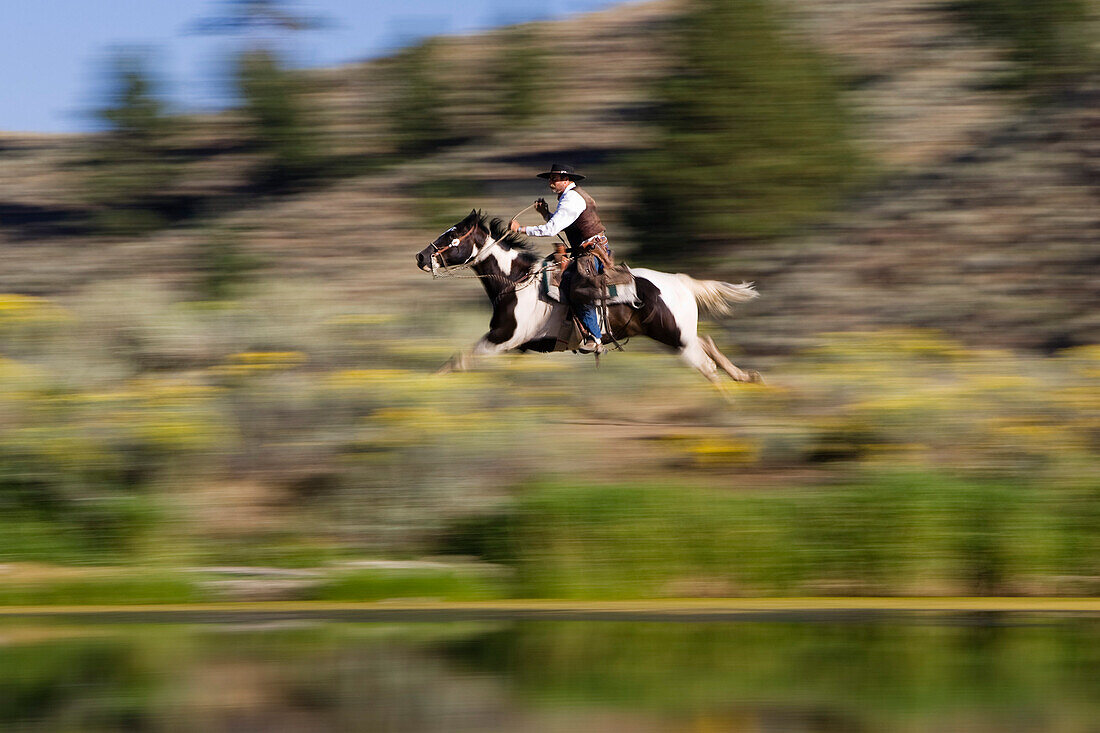 cowboy riding, Oregon, USA