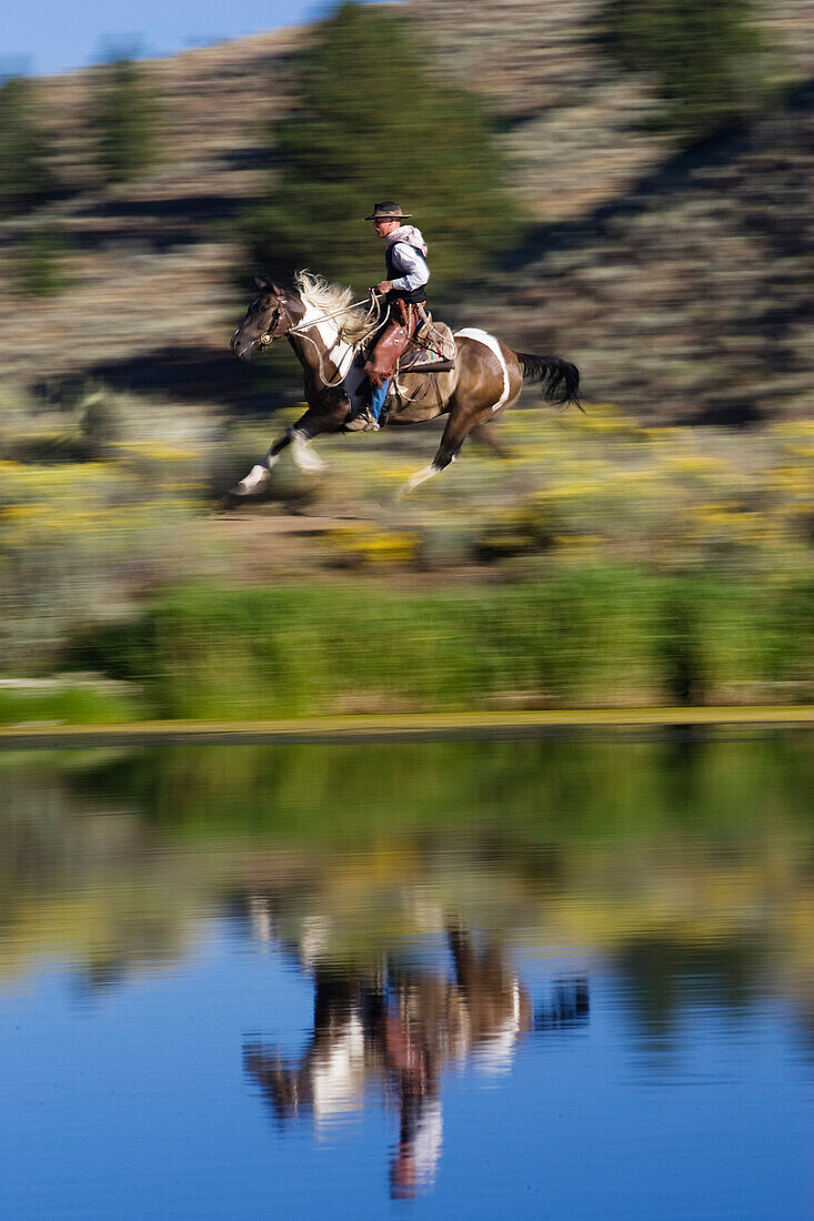 cowboy horseriding, Oregon, USA