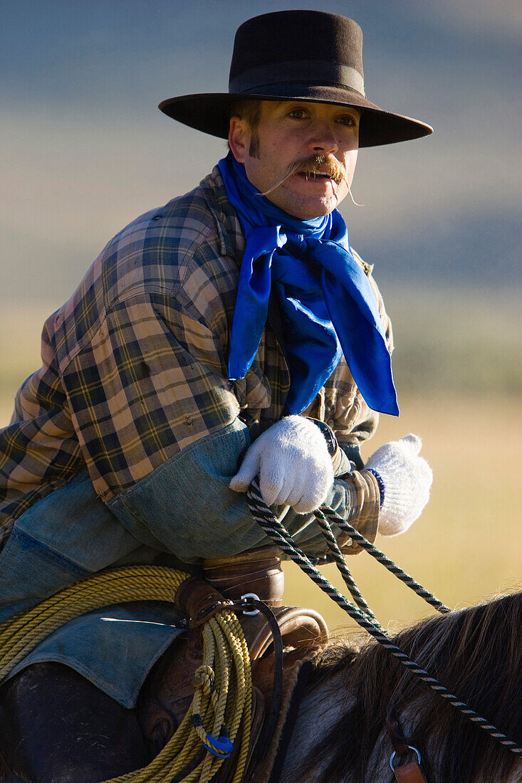 Cowboy auf Pferd, Wilder Westen, Oregon, USA