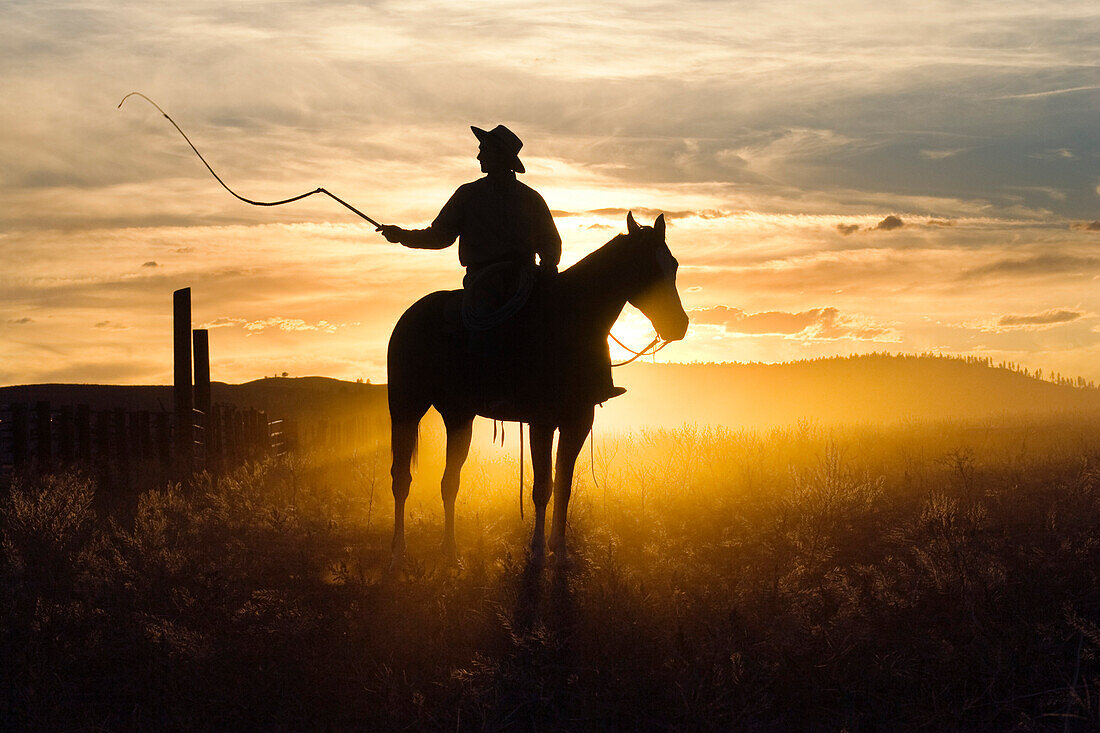 Cowboy bei Sonnenuntergang, Oregon, USA