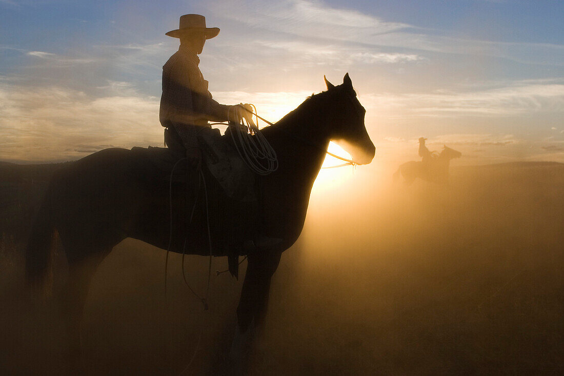 Cowboy riding at sunset, Oregon, USA