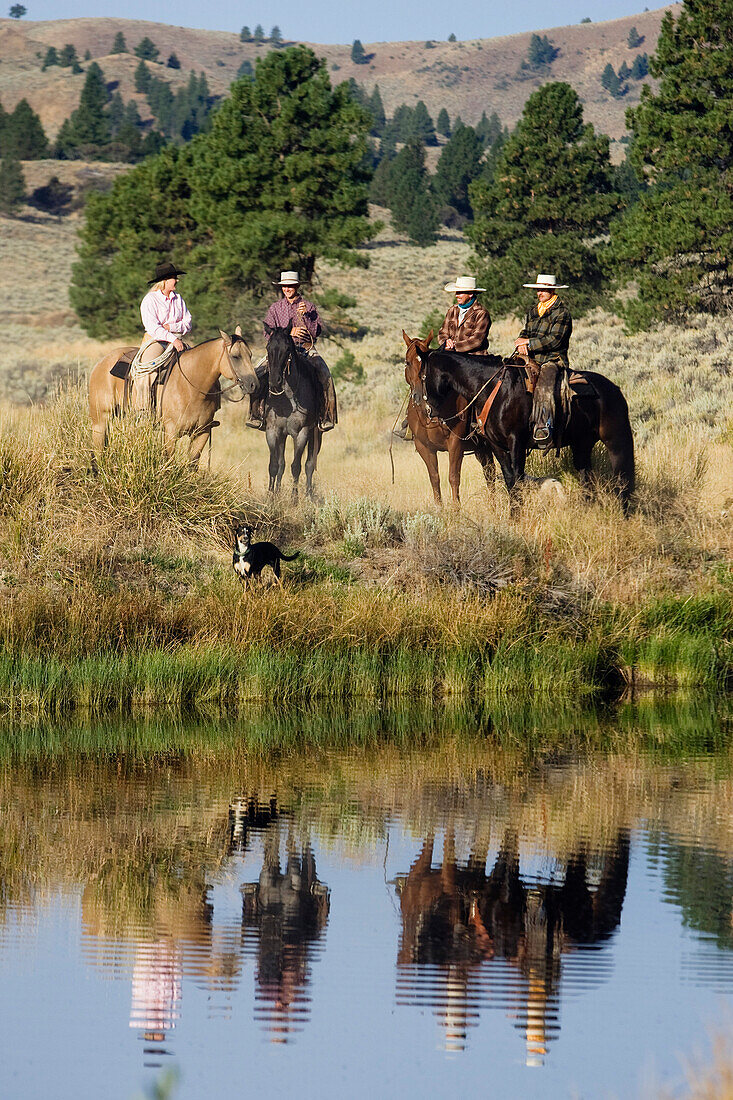 Cowboys auf Pferden, Oregon, USA