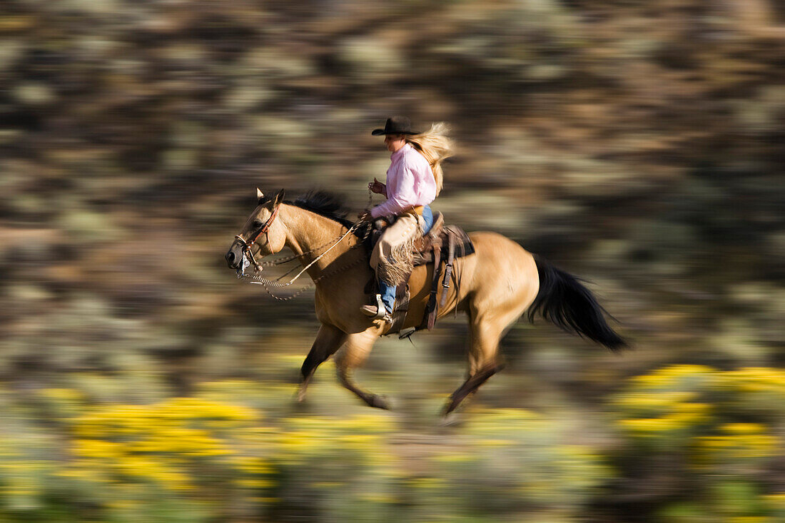 cowgirl riding, Oregon, USA