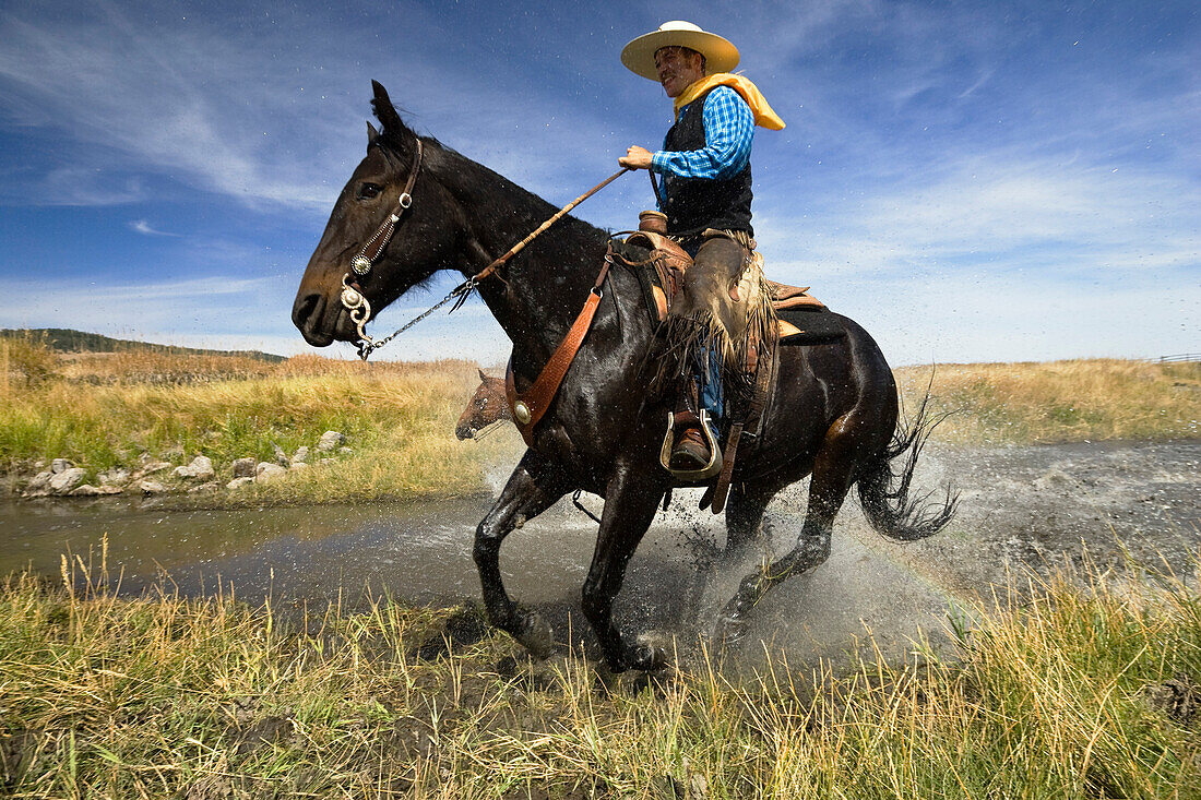 Cowboy riding in water, Wildwest, Oregon, USA