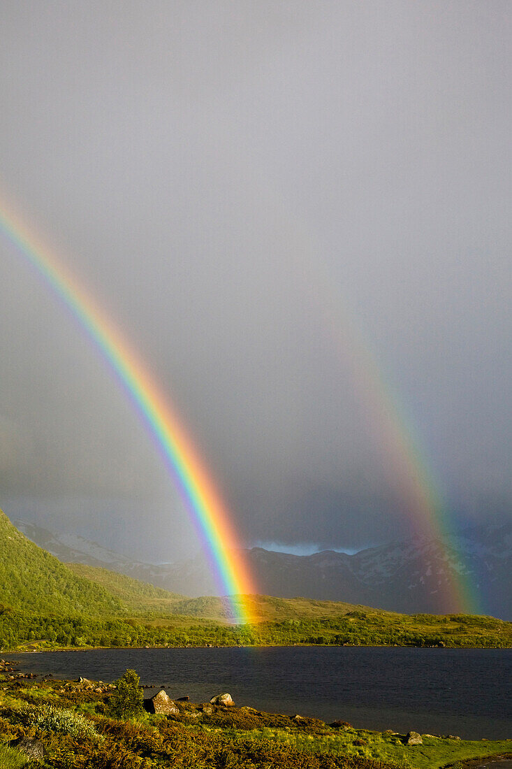 A double rainbow, two rainbows with rain shower and sunshine, Sandsletta, Austvagoya Island, Lofoten, Norway