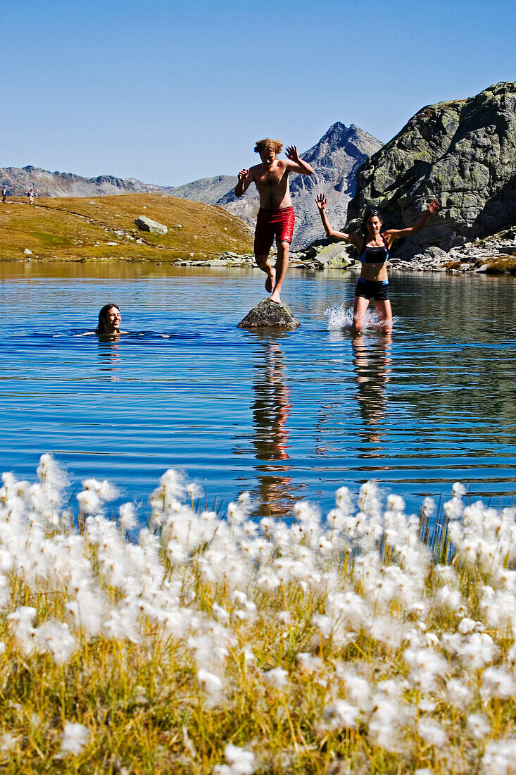 Eine junge Frau und zwei junge Männer baden in einem Bergsee, Wollgras im Vordergrund, Laghi della Valletta, Gotthard Region, Kanton Tessin, Schweiz, MR