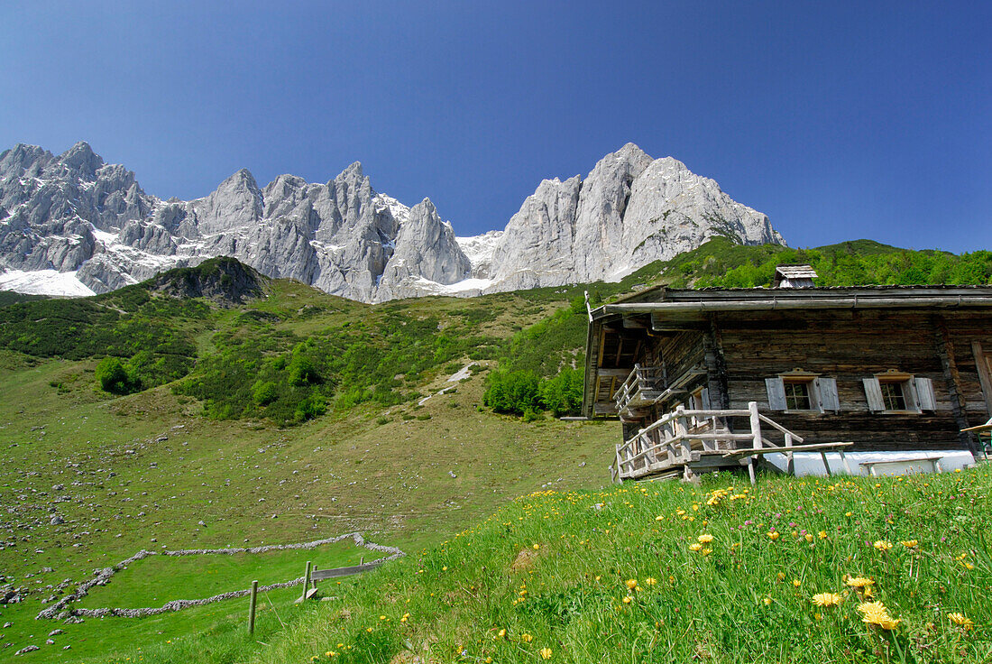 Almhütte mit Wilden Kaiser im Hintergrund, Kaisergebirge, Tirol, Österreich
