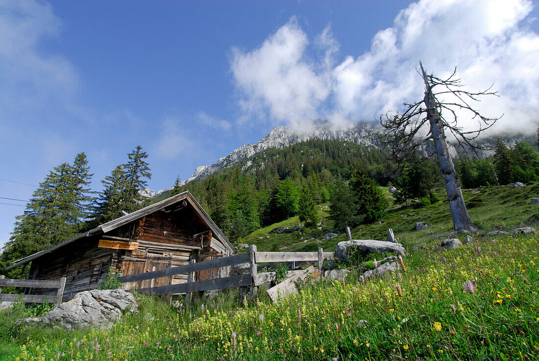 alpine hut Steiner Hochalm, Wilder Kaiser, Kaiser range, Tyrol, Austria