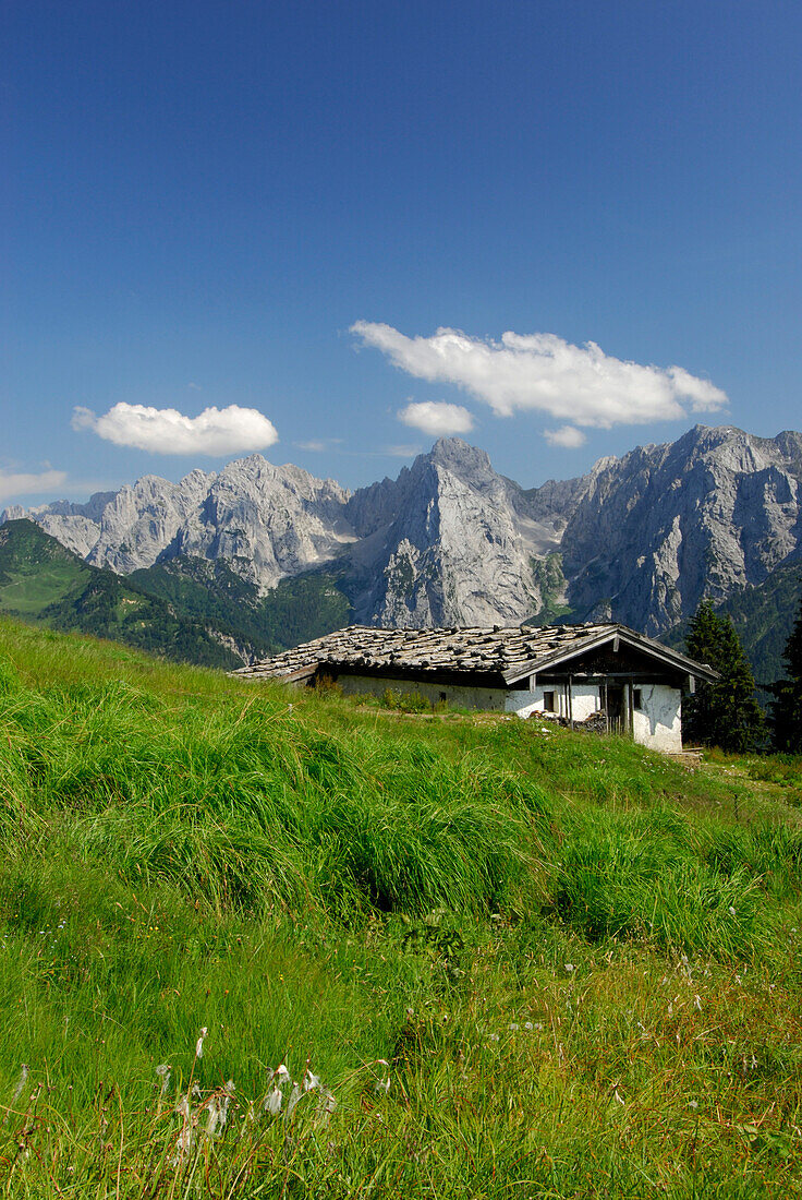 Hinterkaiserfeldenalm mit Blick auf Wilden Kaiser, Kaisergebirge, Tirol, Österreich