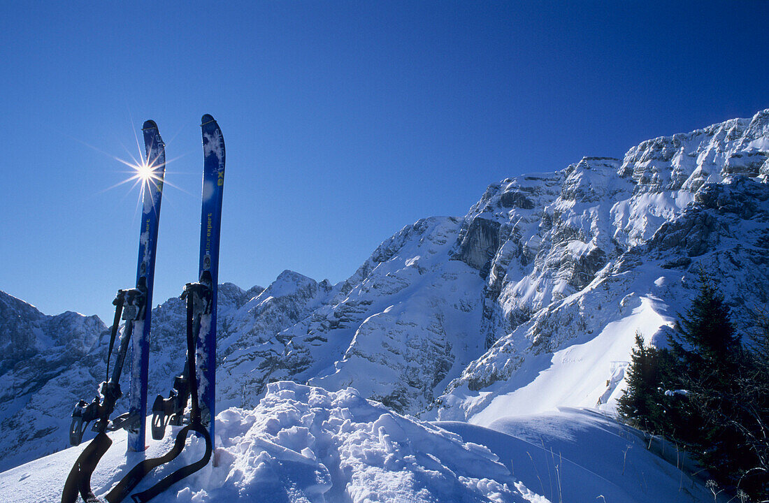 Skies sticking in the snow, mount Hoher Goell, Berchtesgaden Alps, Upper Bavaria, Bavaria, Germany