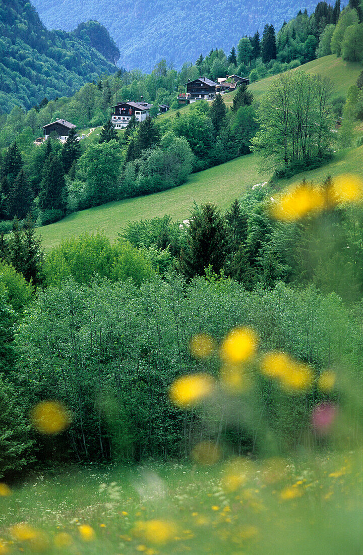 View over meadow to lodge Pfandlhof, Kaiser valley, Wilder Kaiser range, Kaiser range, Tyrol, Austria