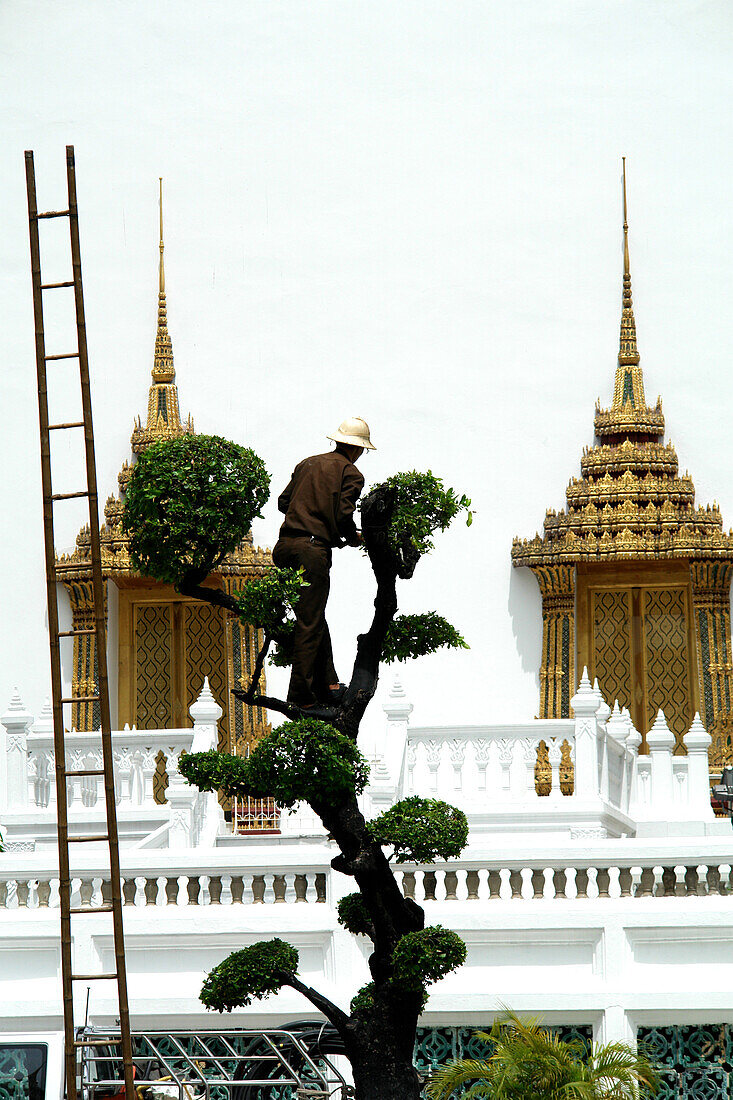 Gardener in Bangkok, Temple, Thailand, Asia