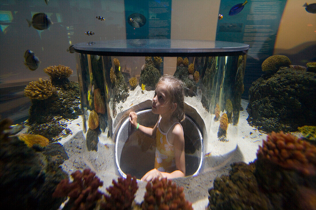 Mädchen bewundert Fische und Legomodelle im Atlantis Aquarium, Legoland, Billund, Jütland, Dänemark, Europa