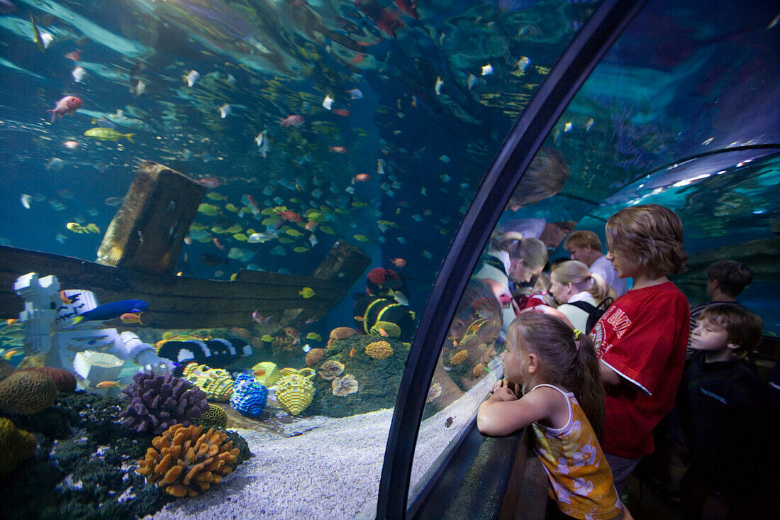 Kinder bewundern Fische und Legomodelle im Atlantis Aquarium, Legoland, Billund, Jütland, Dänemark, Europa