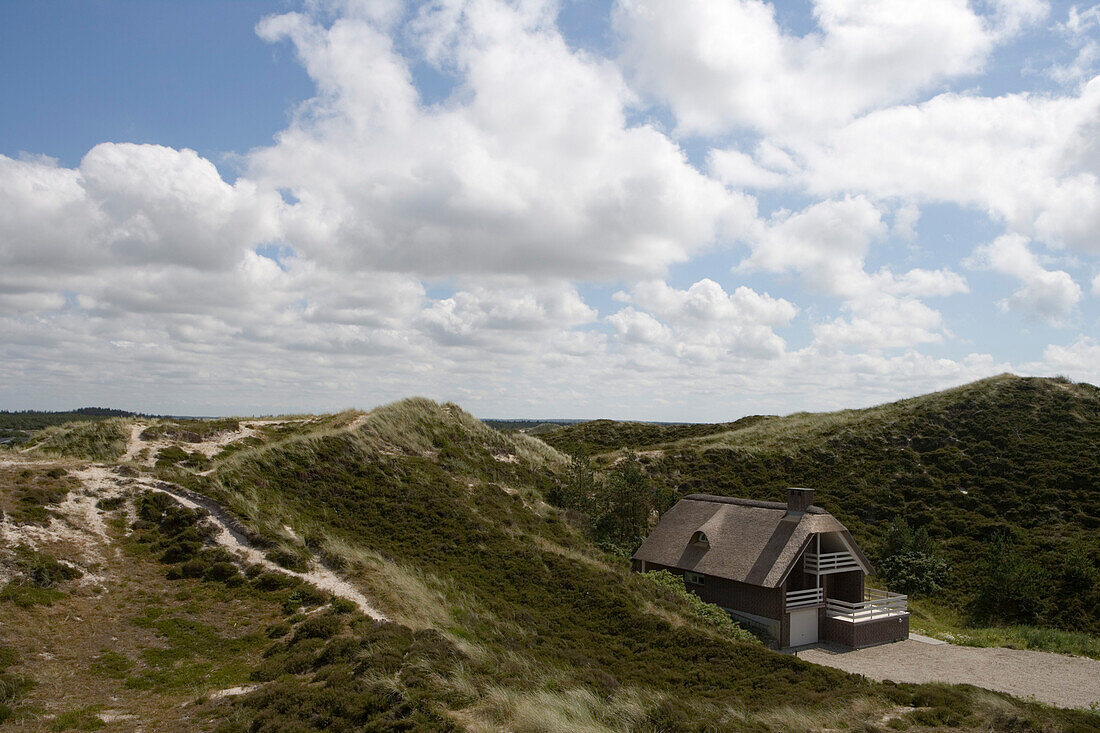 Ferienhäuser in Dünen, Henne Strand, Jütland, Dänemark, Europa