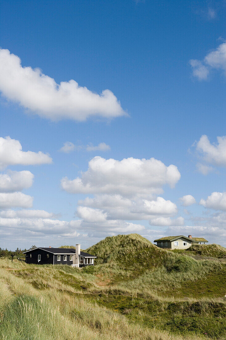 Ferienhauser in Dünen, Henne Strand, Jütland, Dänemark, Europa