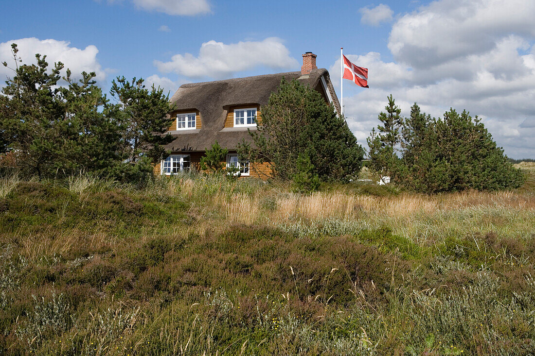 Vacation Home with Reed Roof, Henne Strand, Central Jutland, Denmark