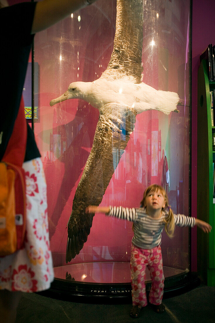 Girl in front of Royal Albatross (wingspan 3.5 m), exhibition at Te Papa Museum, Wellington, North Island, New Zealand