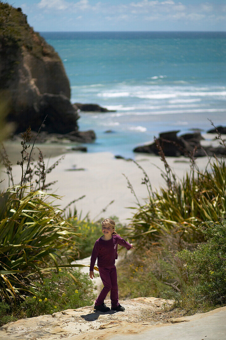 Walking track to Wharariki Beach, near Puponga, near Golden Bay, northwestern coast of South Island, New Zealand