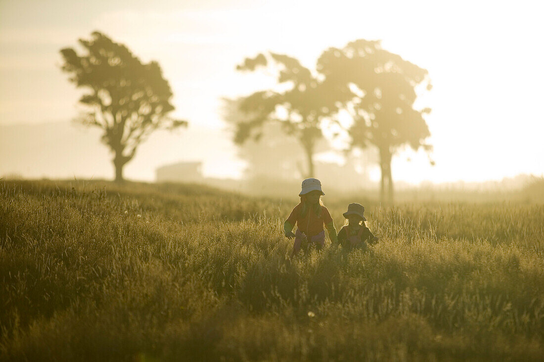 Kinder laufen durch hohes Gras, Sonnenuntergang an der Westküste, bei Haast, Südinsel, Neuseeland