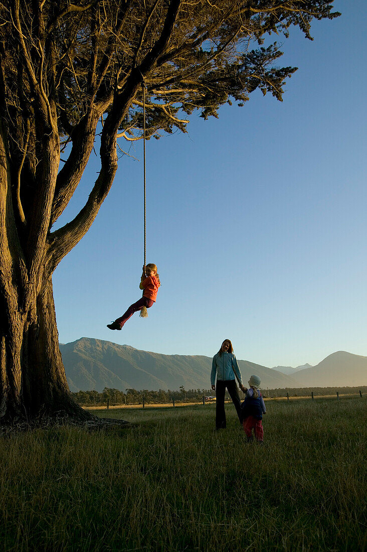 Kinder an Schauckelseil an riesigem Baum, Sonnenuntergang, Strand bei Haast, Westküste, Südinsel, Neuseeland