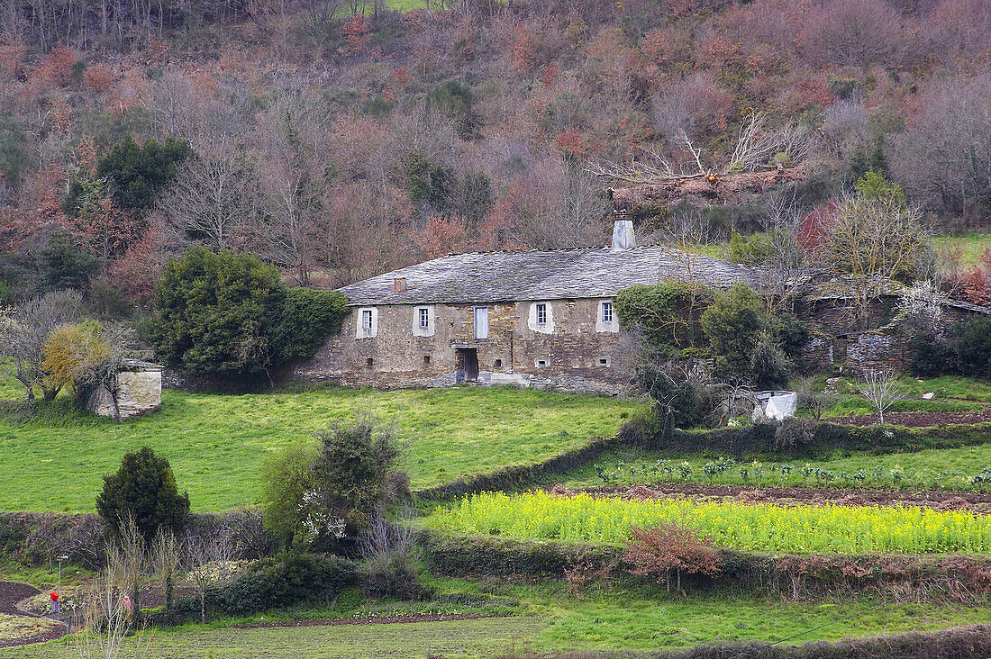 View showing an old farm near the village of Renche, near Samos, Galicia, Spain