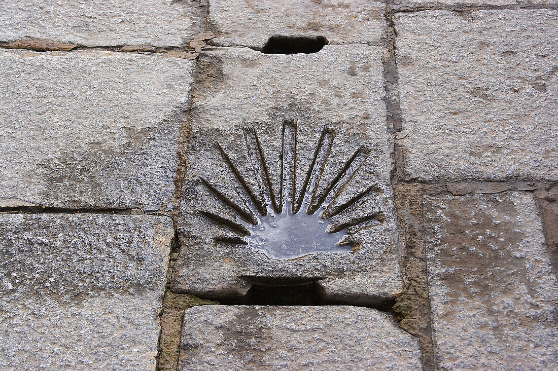 A pilgrim shell on the road, Santo Domingo de la Calzada, La Rioja, Spain
