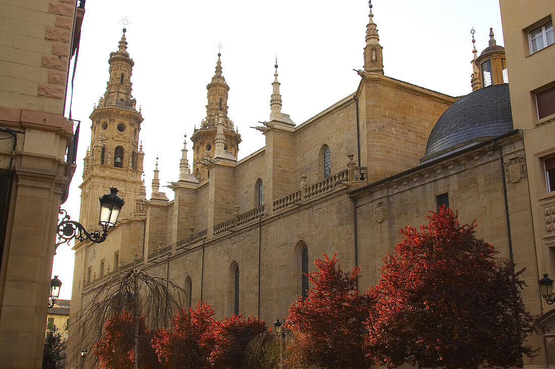 Camino de Santiago, View of Cathedral, Concatedral Santa María de Redonda, Logrono, La Rioja, Spain