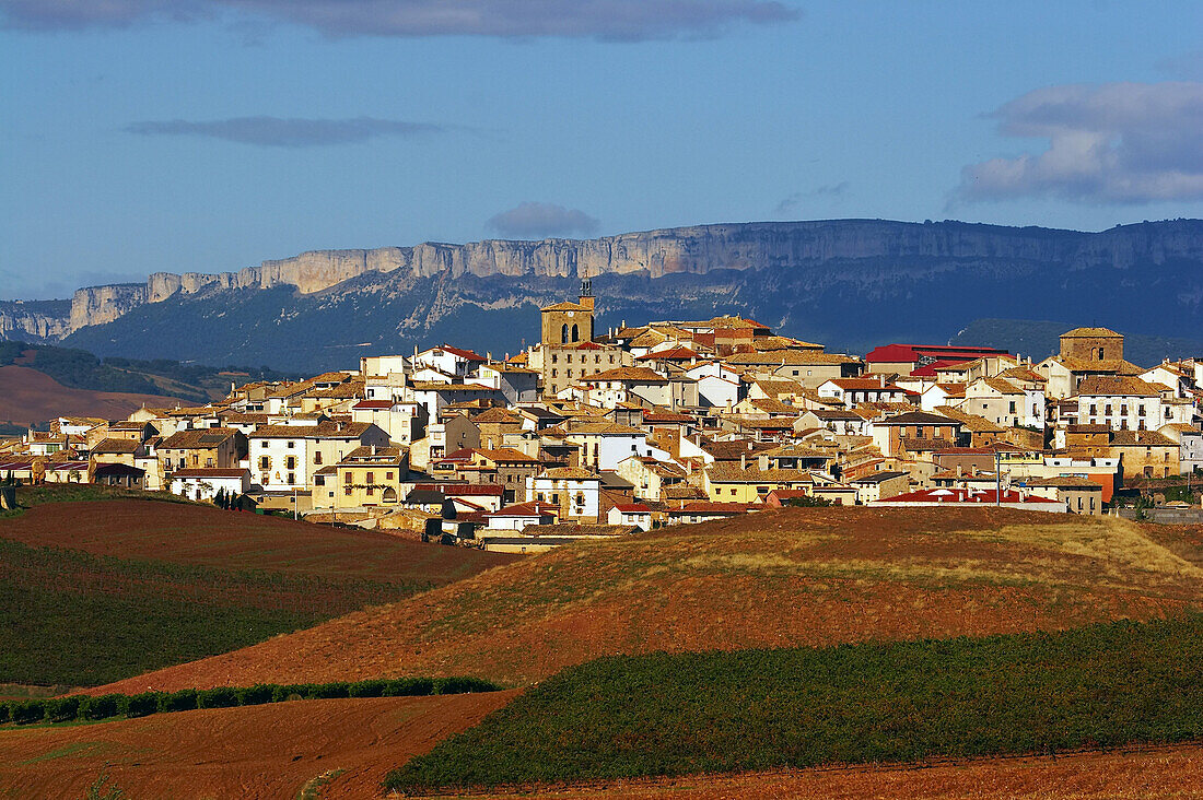Landschaft und Ort am Jakobsweg mit Sierra de Santiago de Loquiz, Cirauqui, Navarra, Spanien