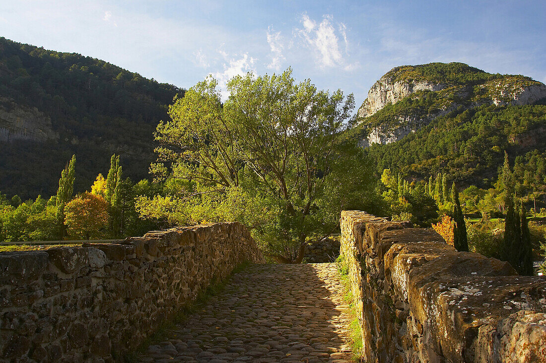 Roman bridge in autumn, Canfranc, Puerto de Somport, Huesca, Aragon, Spain