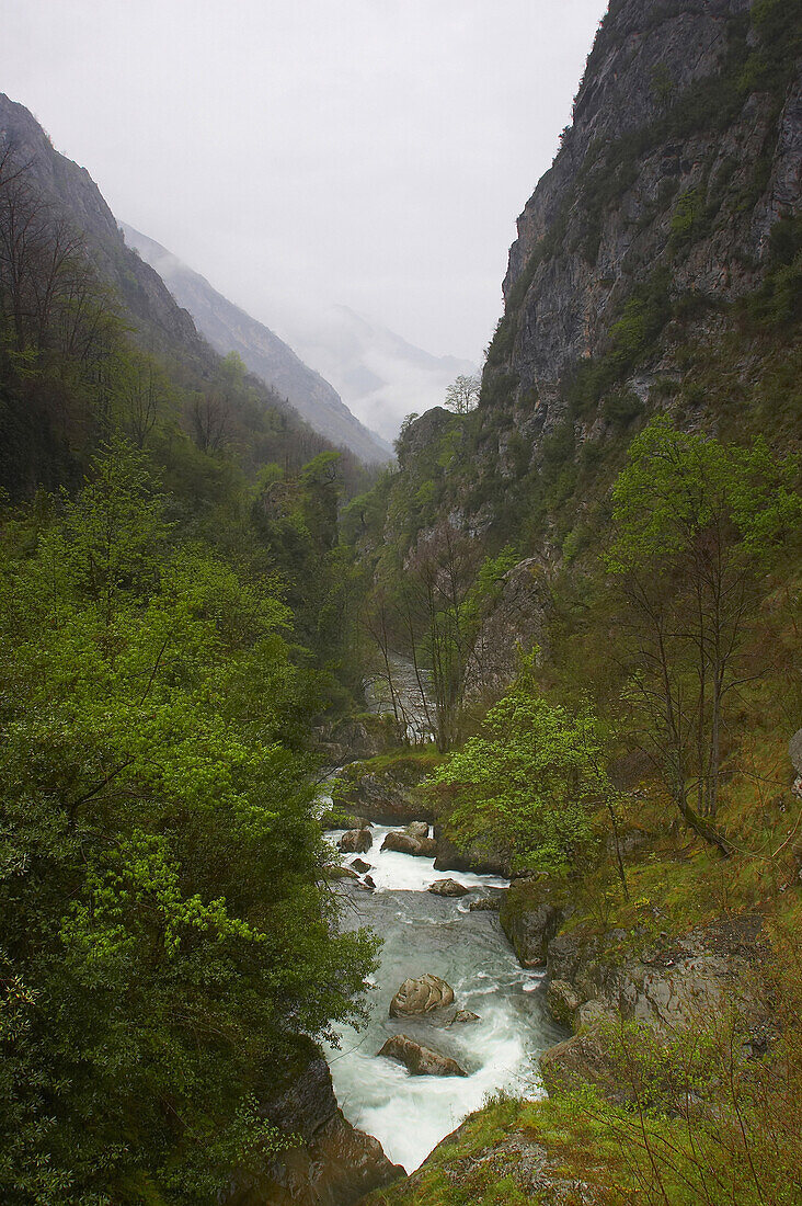 Landscape, Picos de Europa,with gorge, Desfiladero de los Beyos, and river, Río Sella, Castilla Leon, Spain