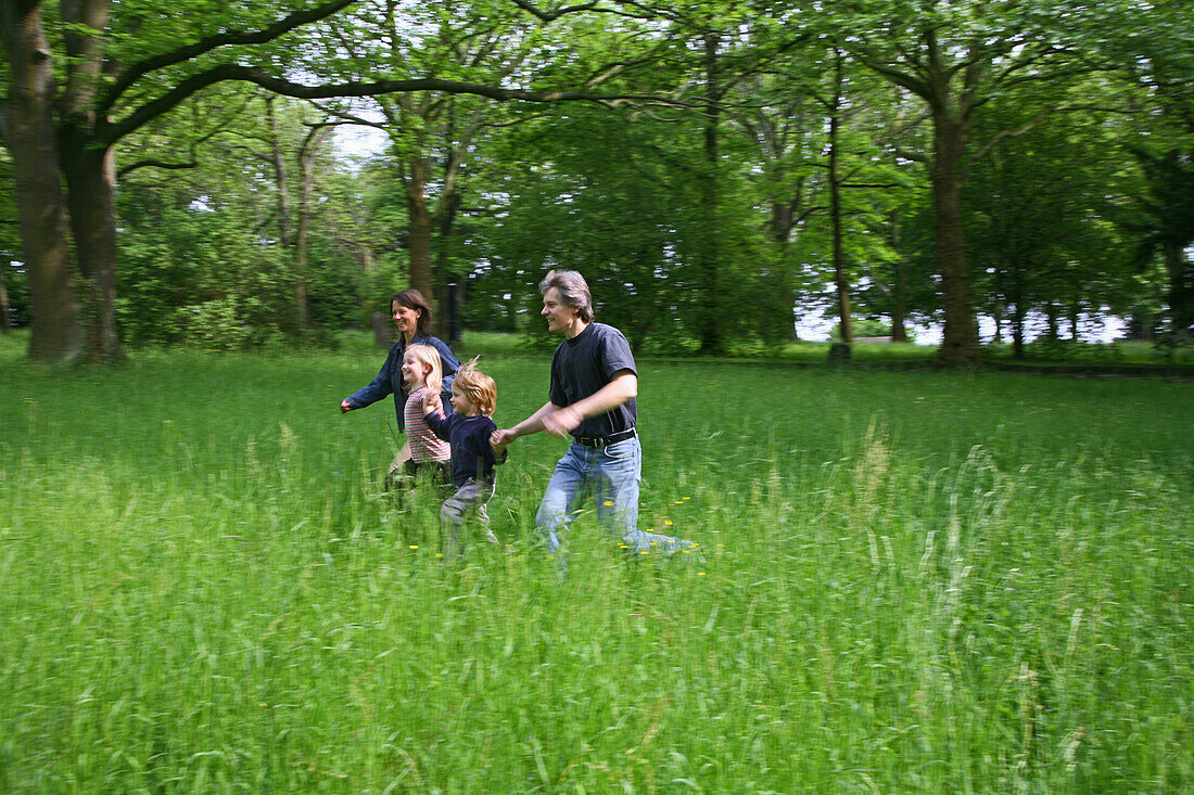 Family hand in hand running over meadow, MR