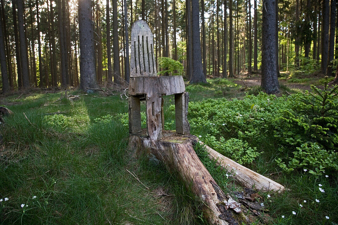 chainsaw art, a carved timber chair in a forest in the Eifel region