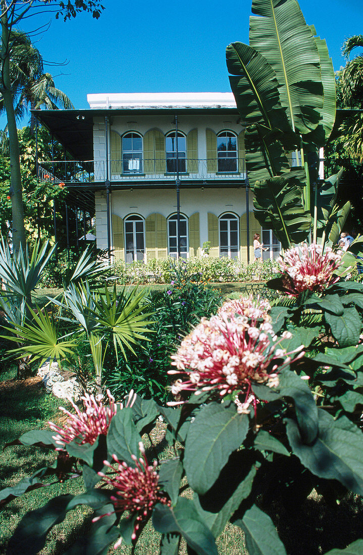 Ernest Hemingway home and museum. Key West. Florida. USA