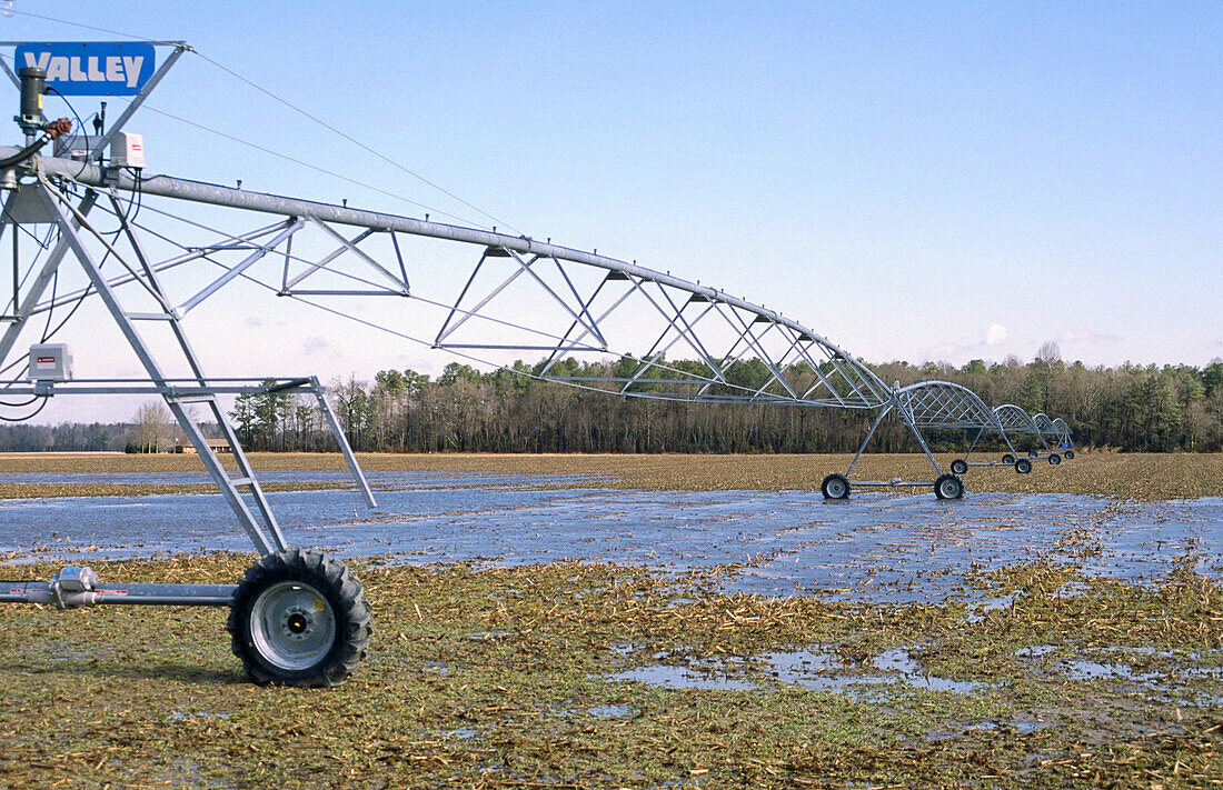 Irrigation system sitting in plenty of water after several days of rain. Delaware