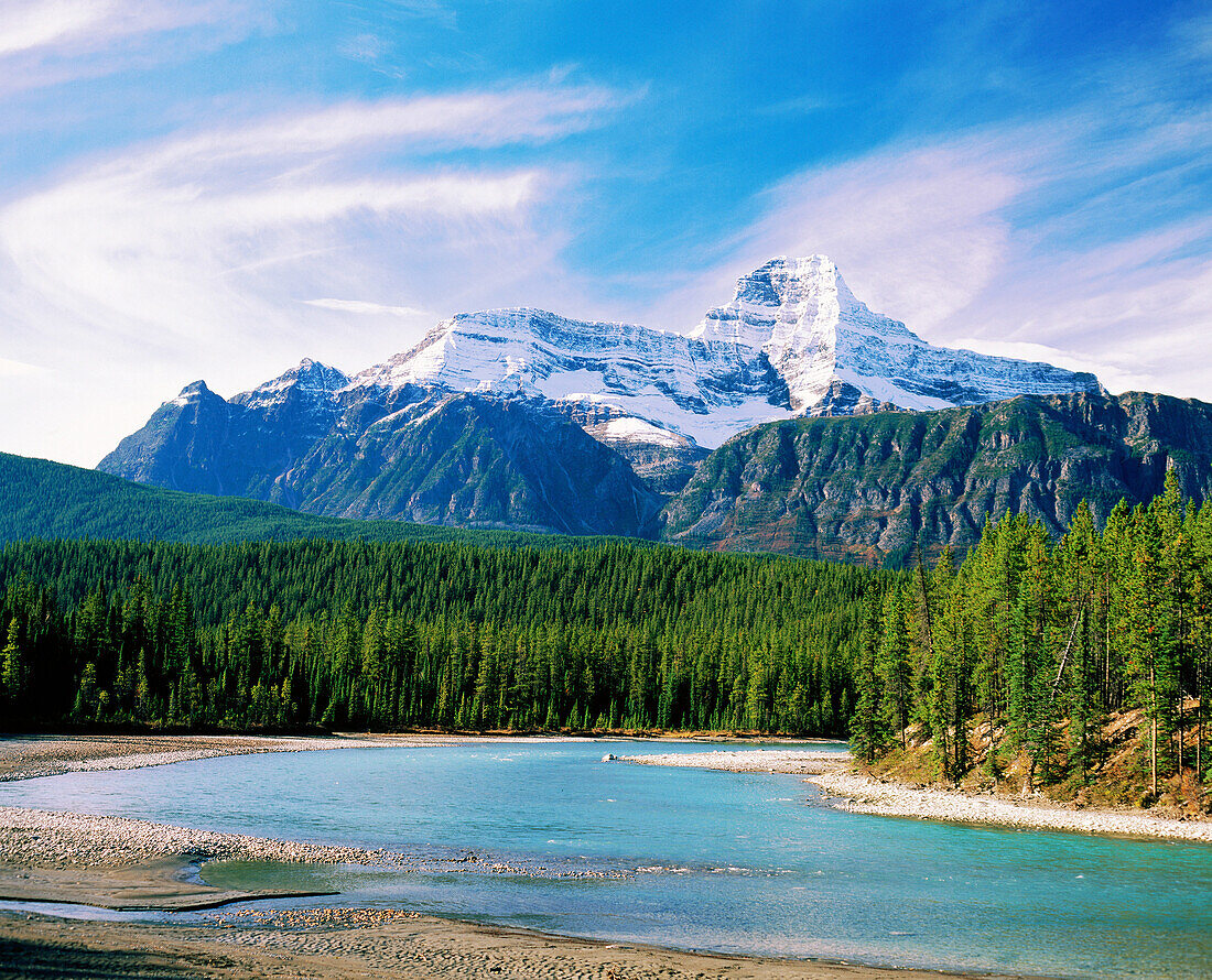 Athabasca Valley. Jasper NP. Canada