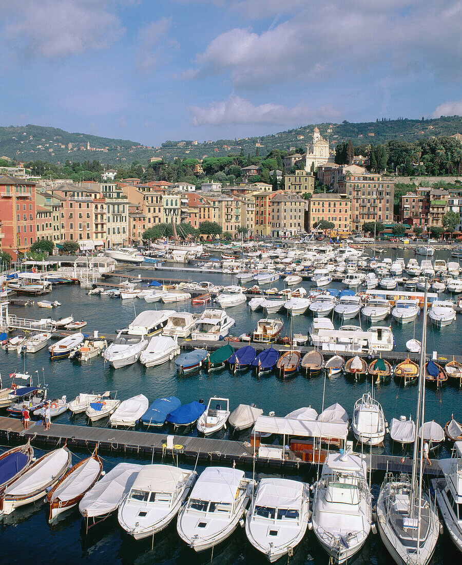 Santa Margherita. Liguria. Italy