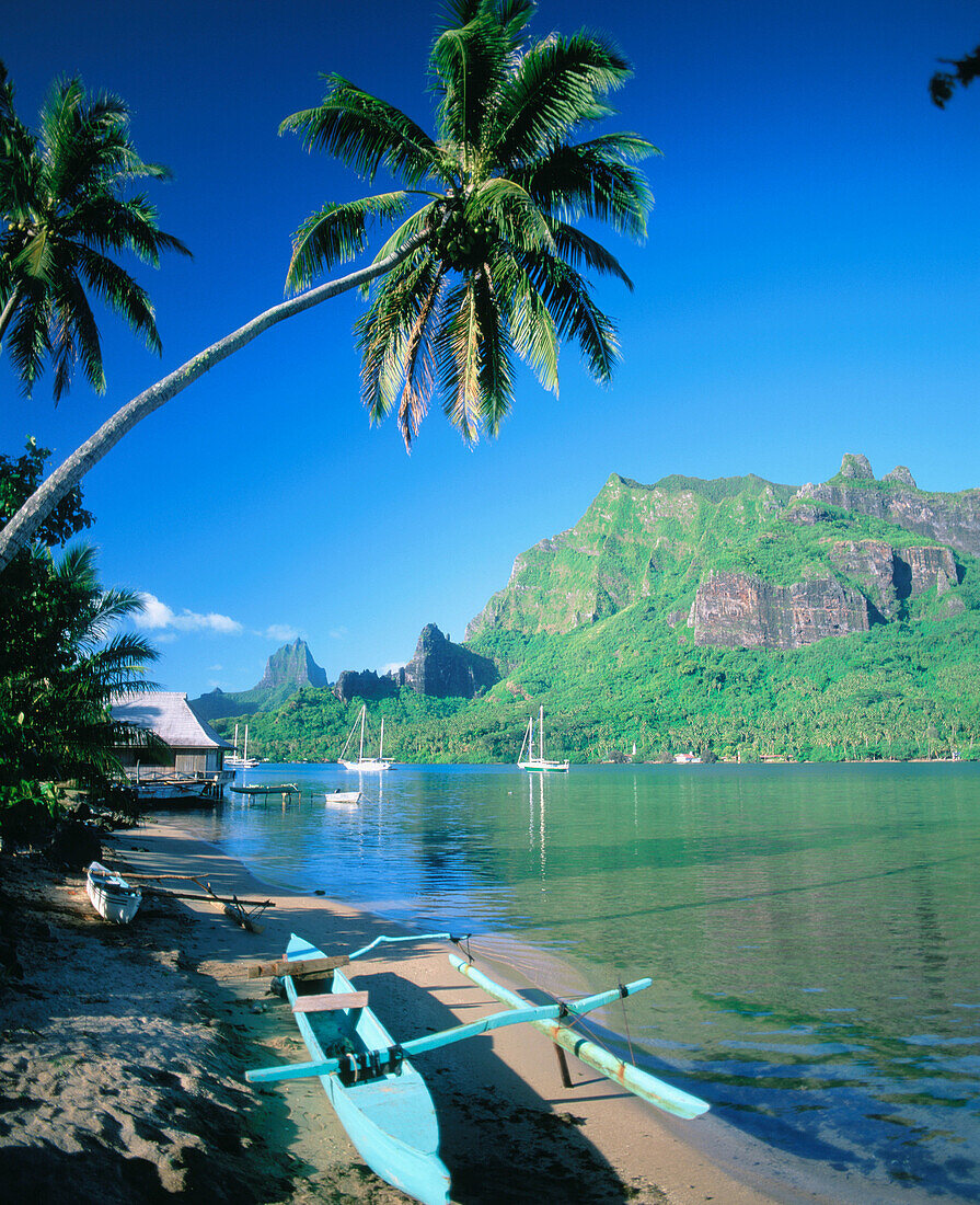 Cook s Bay. Moorea Island. French Polynesia