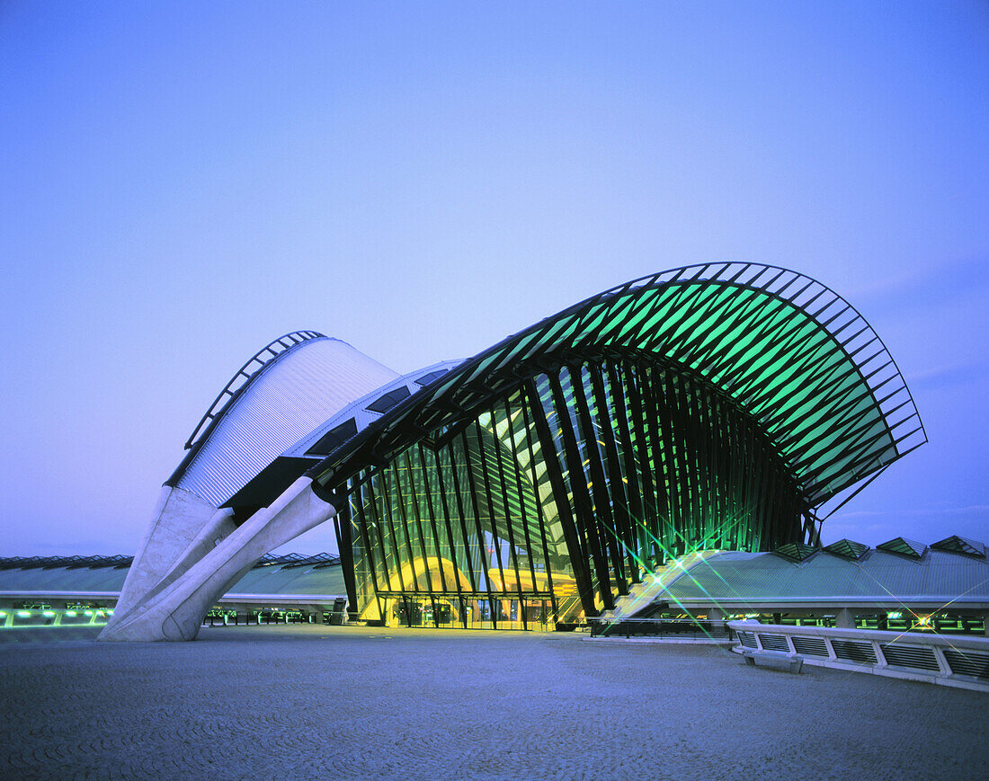Satolas Airport rail station, by Santiago Calatrava. Lyon. France