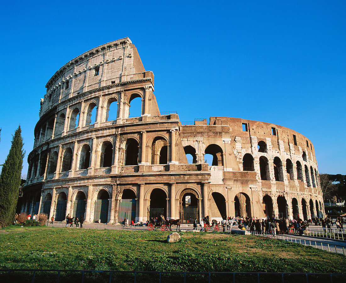 Colosseum. Rome. Italy.