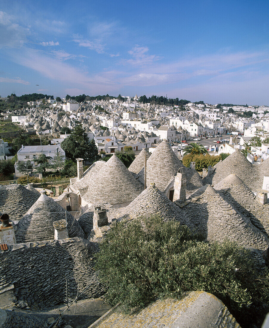 Trulli (typical dwellings). Alberobello. Italy