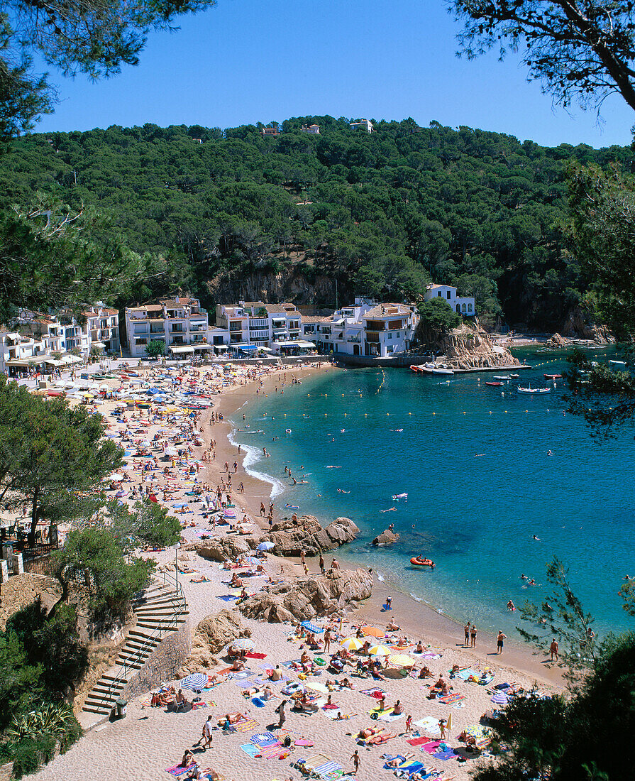 Aigua Gelida beach. Girona province. … – License image – 70088999 ...