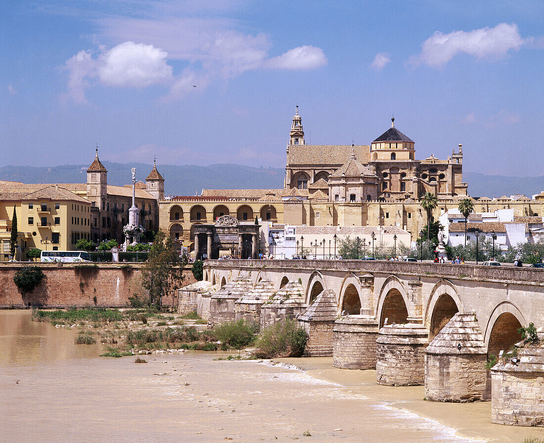 Roman bridge and Mosque-Cathedral of Cordoba. Andalusia. Spain