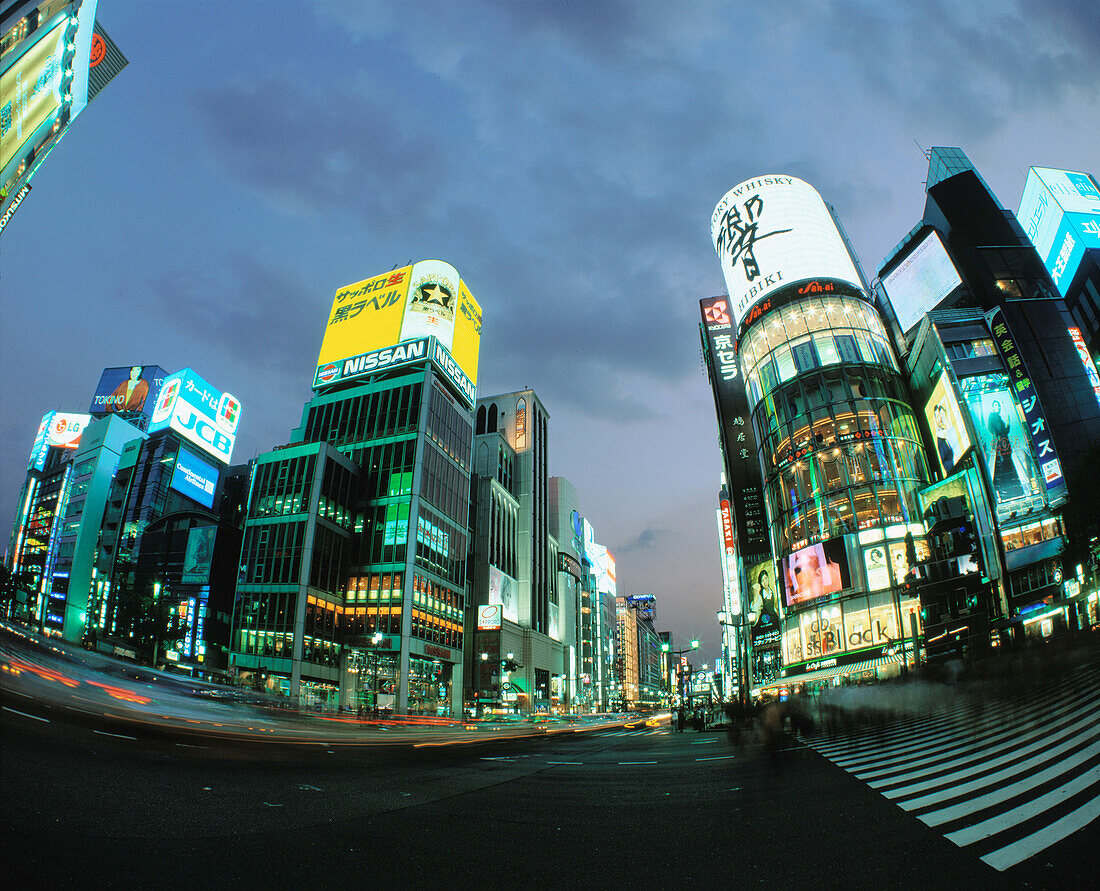 Central avenue. Ginza district. Tokyo. Japan