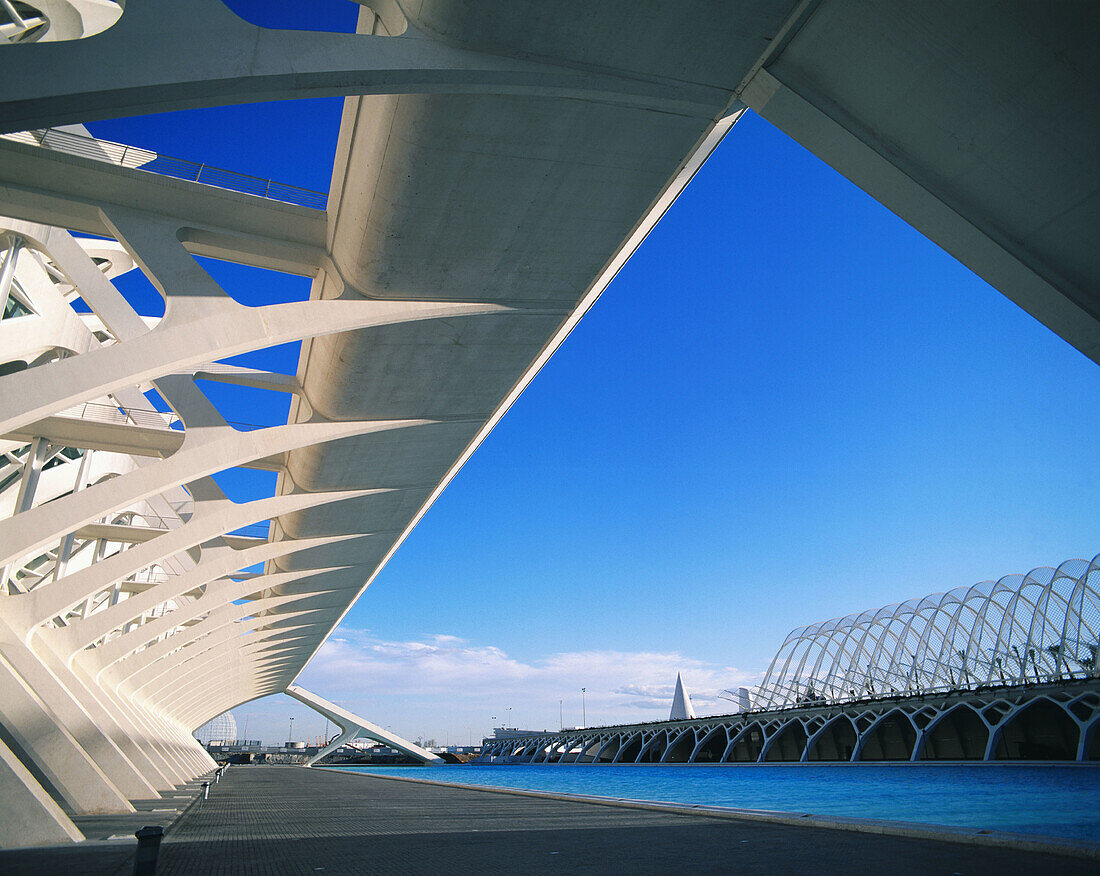 City of Arts and Sciences, by S. Calatrava. Valencia. Spain